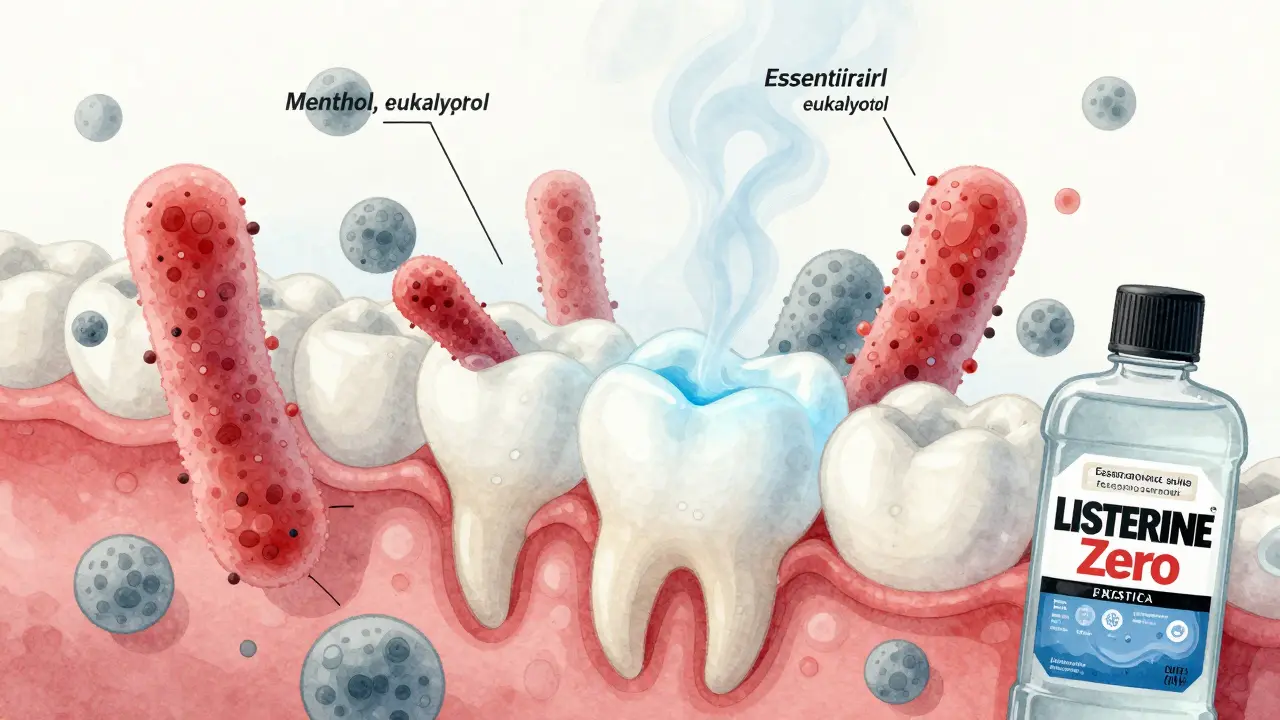 Mikroskopický pohled na zubní sklovinku ochraňovanou fluoridem a boj proti bakteriím.